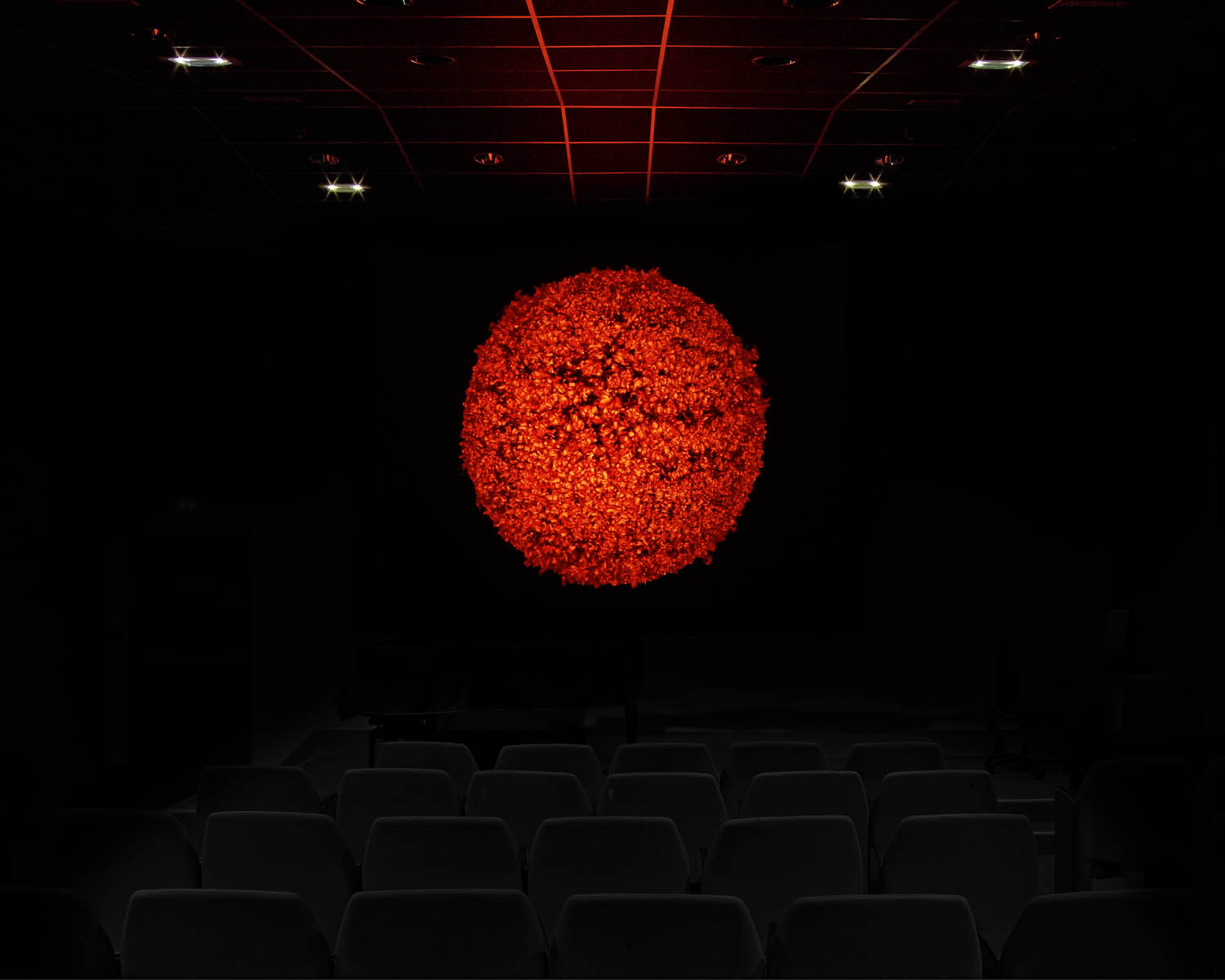 marina-gadonneix-phenomenes-untitled-supernova